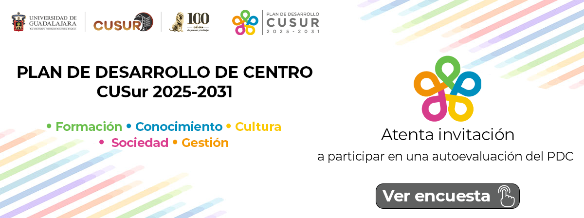 Autoevaluación PDC CUSur 2026