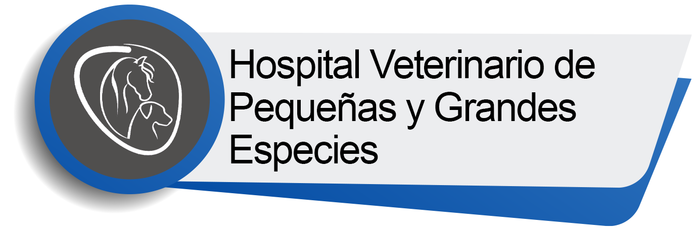 Hospital Veterinario