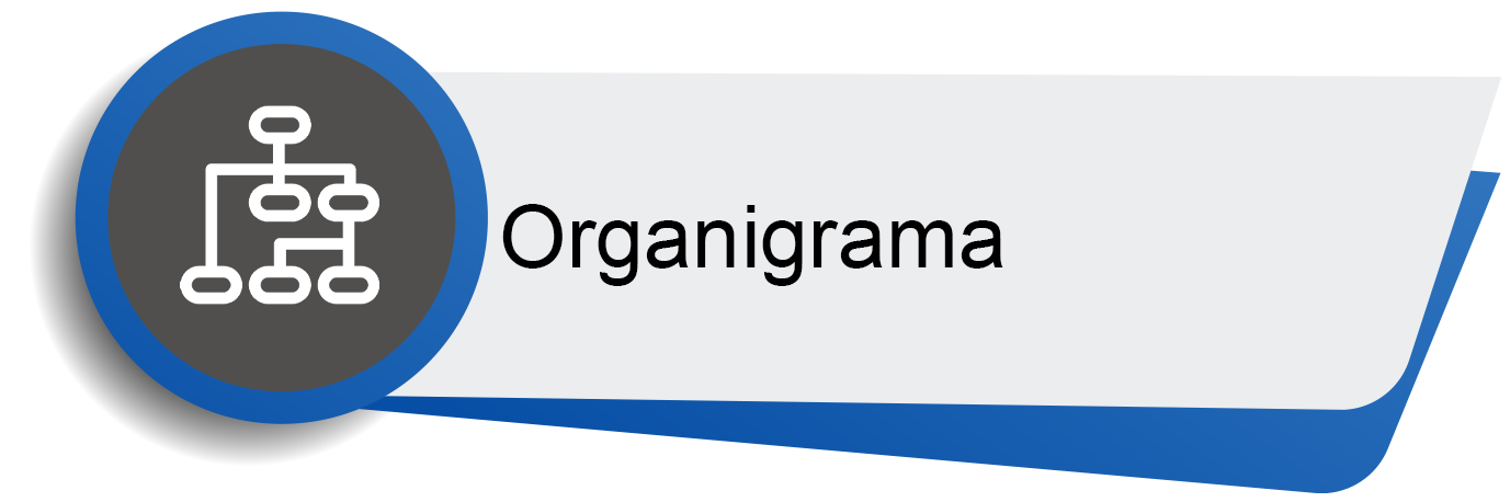 boton Organigrama general
