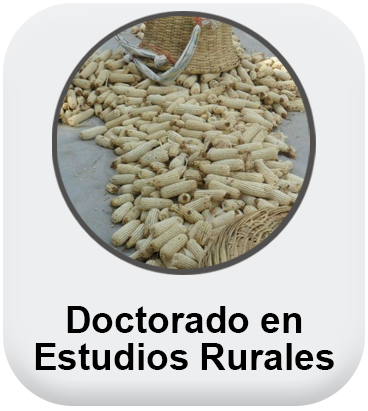 Doctorado en Estudios Rurales