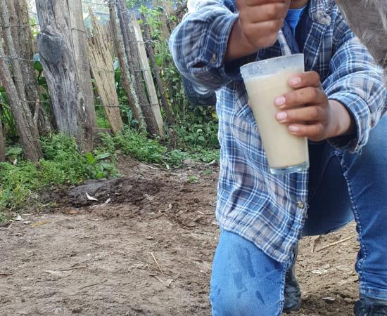 Promueve el CUSur la agricultura sustentable desde la infancia