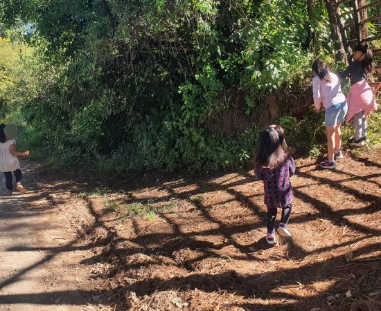 Promueve el CUSur la agricultura sustentable desde la infancia