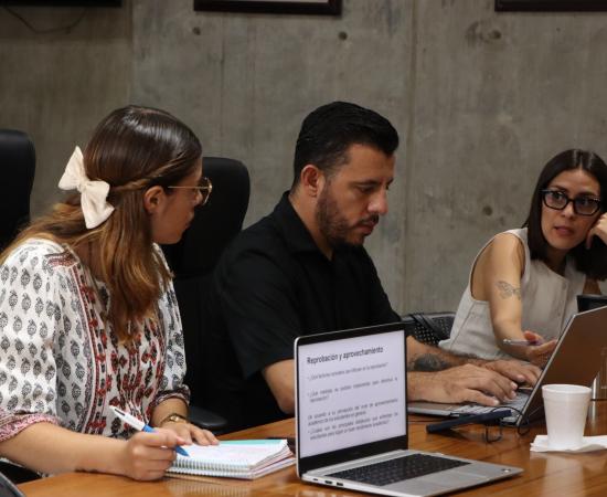 CUSur realiza el Análisis de la pertinencia institucional de los programas educativos de Posgrado