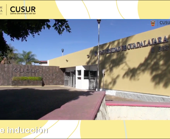 El CUSur da la bienvenida a 818 nuevos estudiantes