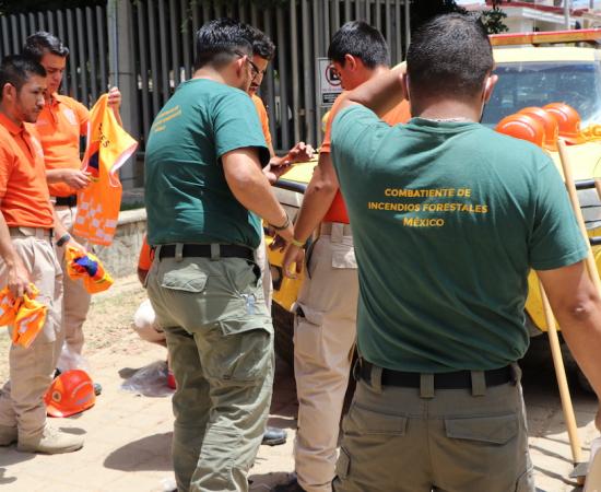 CONAFOR entrega al CUSur herramienta para el combate de incendios forestales