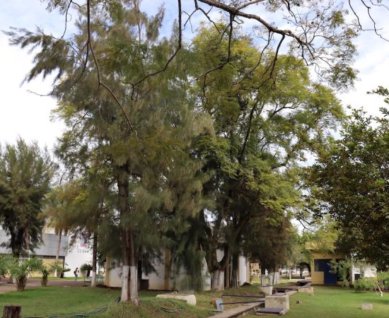 Realizan recorrido para conocer las tecnologías verdes y biodiversidad del CUSur