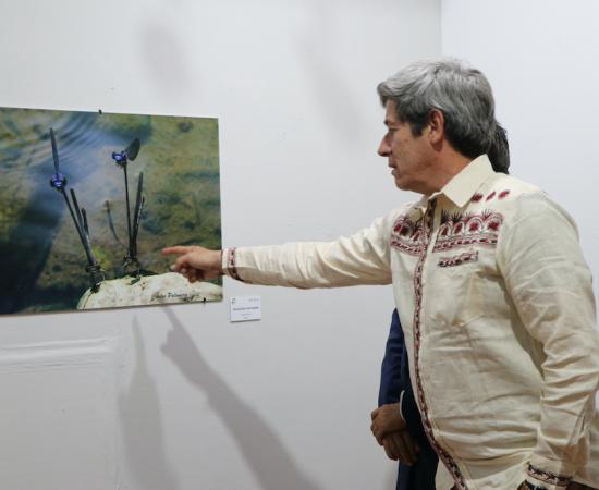 Inauguran la exposición fotográfica “Belleza alada”