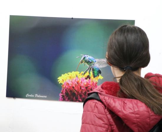 Inauguran la exposición fotográfica “Belleza alada”