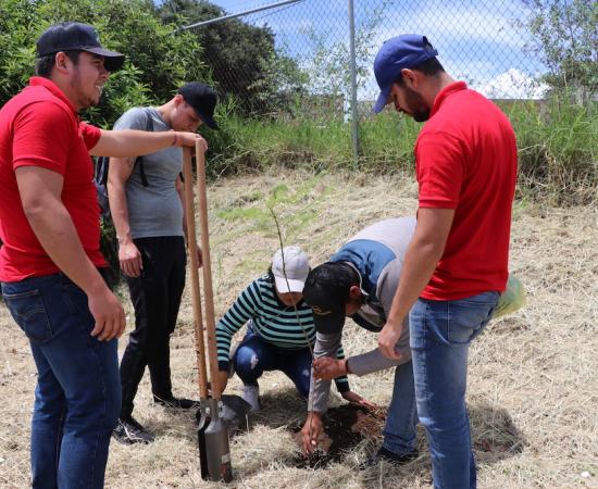 Plantan 55 árboles en la periferia del CUSur