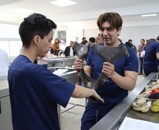 CUSur renueva laboratorios de salud con inversión superior a los 20 millones de pesos