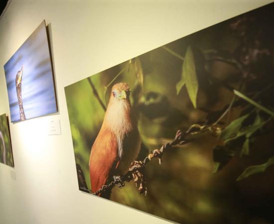 Inauguran “Miradas de la naturaleza”, exposición sobre la interacción de personas con la naturaleza