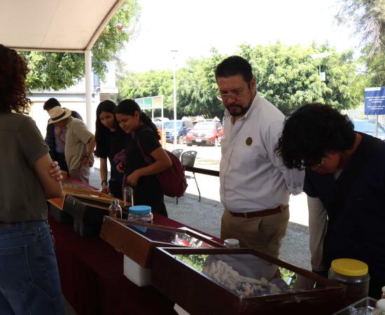 CUSur fue sede de la colección biológica itinerante del CUCosta que promueve la conciencia ambiental