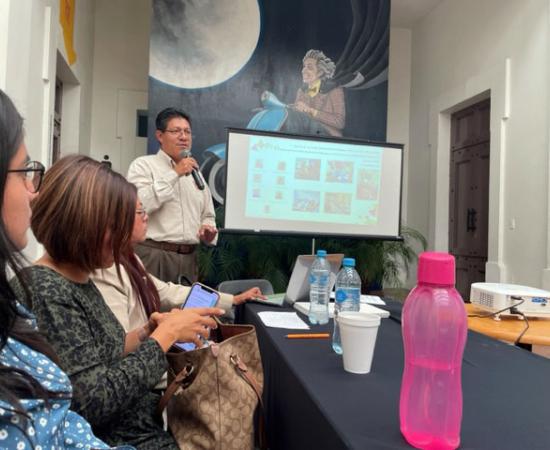 Problemas de violencia y salud mental en adolescentes de Ciudad Guzmán