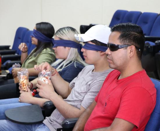 Conciencia discapacidad visual