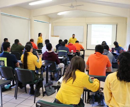 Curso manejo de incendios forestales 