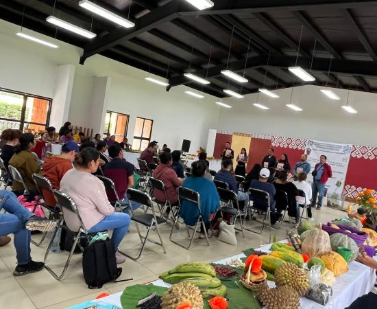 Presentación Teocintle en Chiapas