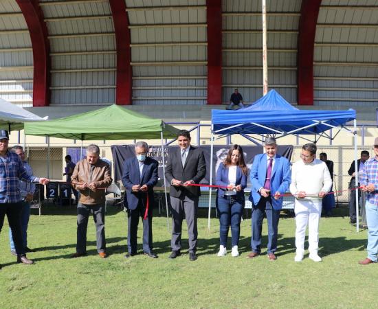Primer match de belleza canina