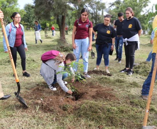 Reforestación en Zapotlán